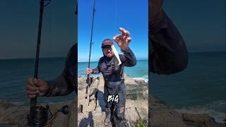 Small LURES Catches Monster Fish!! #fishing