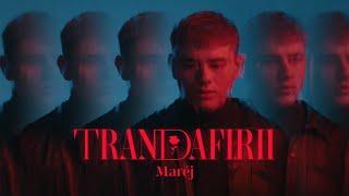 Maréj - Trandafirii