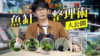 魚缸整理術大公開【憩魚水族】