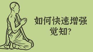 如何快速增强觉知？——依师