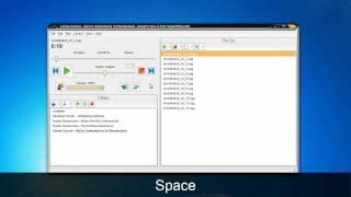 Angel's Vox 1.6: Reordering File List Items / Audio Book Player for Windows by SuperUtils Software
