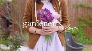 Goodbye Tulips, Hello Chaos  Online Plant Haul + Garden Reset