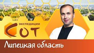 Точно не липа! Образование Липецкой области