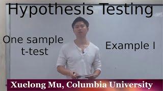 Hypothesis Testing - One Sample t Test Example I