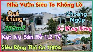 Quá Sức Tưởng Tượng_Nhà Vườn To Rộng Bán Cực Rẻ 1,2 Tỷ (13x27) Thổ Cư 100% Sổ Hồng Riêng Gần Quận 8.