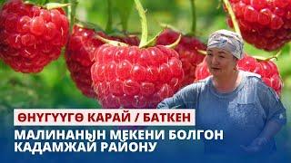 Малинанын мекени болгон Кадамжай району // Өнүгүүгө карай