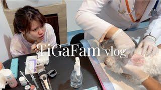 Welcome to TiGaFam vlogs! Filming daily before baby A comes  Dumpling bit Napkin drama ️