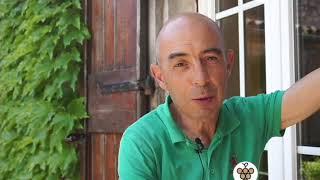 L'Interview Viti du Mercredi - Sylvain Fadat - Domaine d'Aupilhac