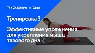 Эффективные упражнения для укрепления мышц тазового дна