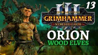 SAND & SKULLSTORM | SFO Immortal Empires - Total War: Warhammer 3 - Wood Elves - Orion #13