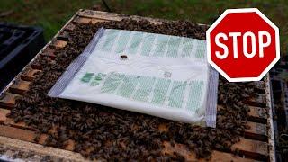 Don't Make This HUGE Beekeeping Error!