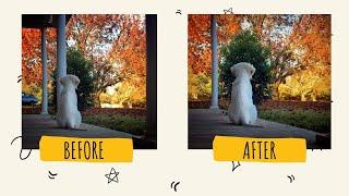 Using Layers and Clone Stamp In Adobe Photoshop 2021