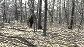 Amazing Bigfoot Evidence - Sasquatch caught on film in Georgia while on camping trip.