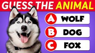 General Knowledge Questions About Animals!  Animals Knowledge Trivia Questions and Answers