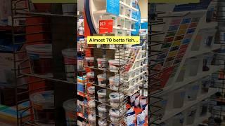 Petco prioritizing profit over betta fish care