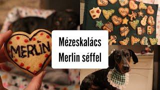 Mézeskalács Merlin séffel  #merlinkalandok