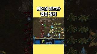 캐논이 히드라만큼 있네 #스타크래프트 #프로토스 #래더 #전략 #빌드 #캐논