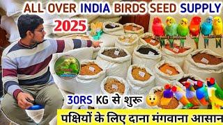 All Type Exotic Birds Seed Supply In All Over India || विदेशी पक्षियों का दाना मंगवाए अपने शहर तक 