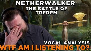 Brilliant or Ridiculous? Breaking Down Netherwalker's Craziest Track