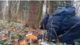 The first snow, frost and cool hats peeking out from under the thick snow of the forest in the wild