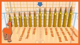 1000 Yard Savage Axis Rifle: Which Cartridge is Best? | The Social Regressive