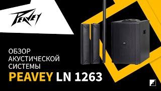 Обзор акустической системы PEAVEY LN1263 с Владимиром Буренковым