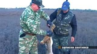 АРХИВ 2006г.(SD) "Записки охотника". Охота на зайца и фазана. г.Вилково