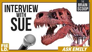 Interview with SUE! | Ask Emily