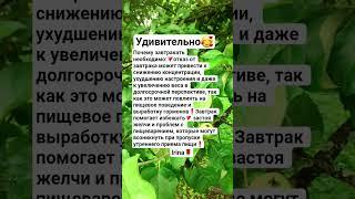 #shorts#Ирина#жизнь#удивительно#полезно#интересно#