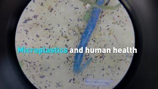 Microplastics and human health