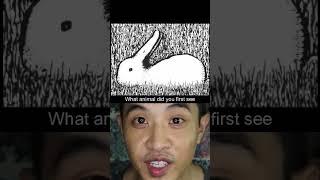 97. Brain Teaser- Duck or Rabbit