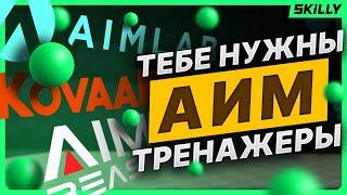 Aimlabs, Kovaak’s и Aimbeast - НУЖНЫ ли они тебе и ПОЧЕМУ ты их не используешь