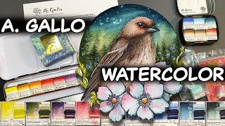 A Gallo Watercolor Review - Swatch Cards, Rare Pigments, Favorite Colors (w/Guest Voice-Over)