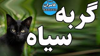 داستان ترسناک گربه سیاه