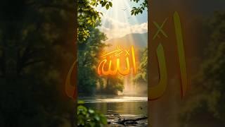  Nature Whispers His Name — Allah’s Signature in Creation | MD EMON Chanel