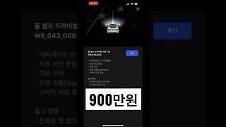 테슬라 소프트웨어 업그레이드 450만원 vs 900만원