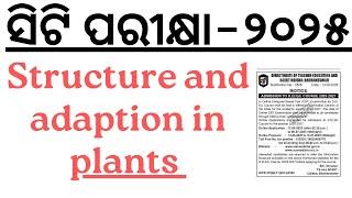 Structure and adaption in plants  in 30 Minutes   Mind Map Series for CT 2025 I BED 2025 I OTET JT I