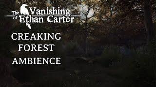 Groaning Forest | The Vanishing of Ethan Carter | Creaking Trees & Soft Wind Ambience | 8 Hours