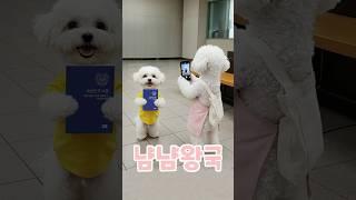 떠나요~ 둘이서~ 설레는 여행준비!
