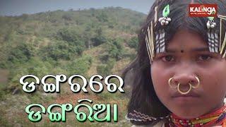 Kalinga Swatantra: History Of Dangaria Tribes In Rayagada District || KalingaTV