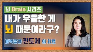 내가 우울한 것이 뇌 때문이라구?  편도체(아믹달라)의 치료