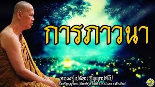 08 การภาวนา #หลวงปู่เปลี่ยน ปัญญาปทีโป #พระอาจารย์เปลี่ยน