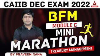 CAIIB Dec 2022 | CAIIB BFM Mini Marathon | BFM Module C | Treasury Management