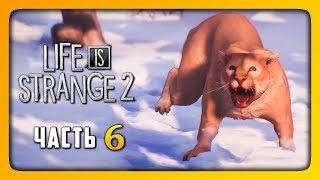 НОВАЯ СЕМЬЯ?  LIFE IS STRANGE 2 (Episode 2) Прохождение #6