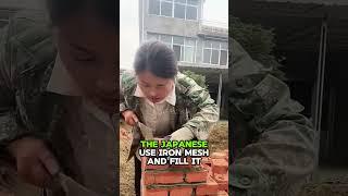 Maybe this is why walls in Japan last for 60 years #short #wall #japan #last #years #facts