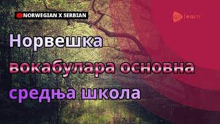 Норвешка вокабулара основна средња школа | Golearn