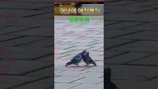 대낮에 뜨거운 애정행각 적발 #정동원 #때 #정오기tv ,#여행 #백두대간,