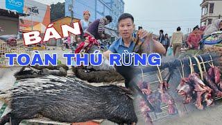 HÀNH TRÌNH 2 NGÀY 1 ĐÊM ĐI TÌM NGUỒN MẬT ONG RỪNG MỚI !