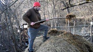 1 Day of the Exciting Life of a Farmer in the Mountains