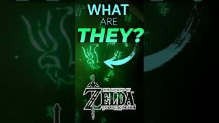 Zonai Text's Ancient SECRET #zelda #nintendo #totk